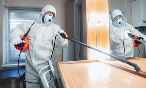 شركة رش مبيدات بابها